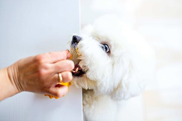 Tùy theo từng giai đoạn mà xây dựng chế độ ăn khác nhau cho chúng