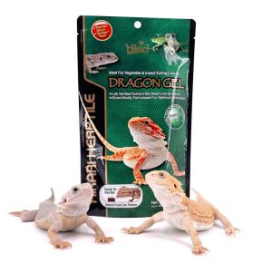 Thức ăn bò sát DRAGONGEL