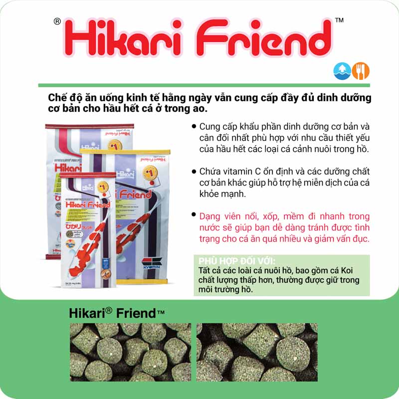 Hikari Friend - BOSS CƯNG Hikari Friend - BOSS CƯNG