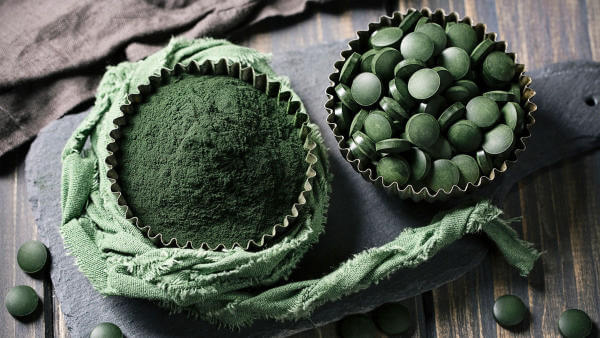 Tảo Spirulina là một chất kích thích lên màu cho cá Koi