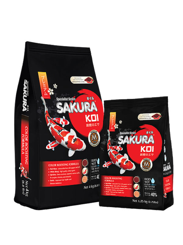 Cám sakura color