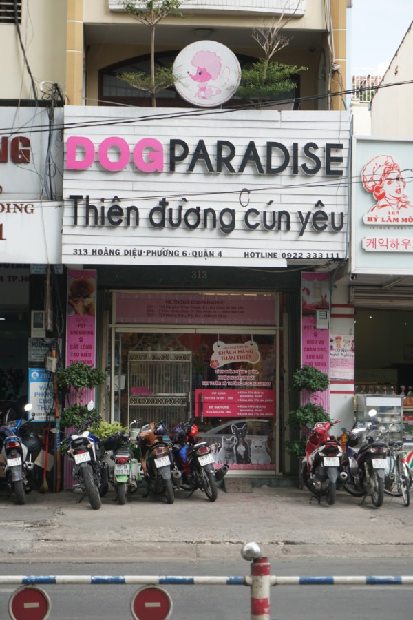 Dog Paradise – Thiên đường dịch vụ chăm sóc thú cưng tại TP.HCM