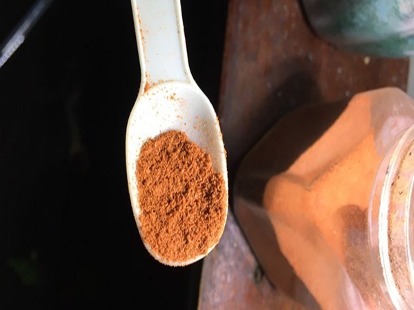 Liều lượng và tần suất cho ăn là yếu tố quan trọng khi cho cá bảy màu ăn