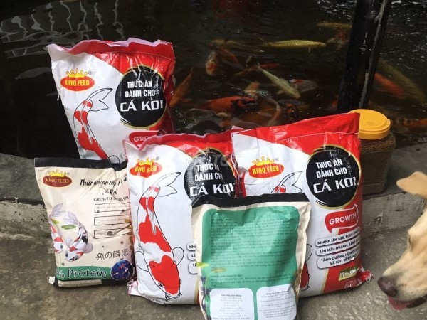 Cám King Feed thương hiệu thức ăn cho cá nổi tiếng đến từ Thái Lan