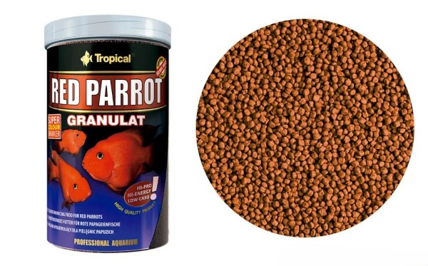 Thức ăn chứa astaxanthin và carotene giúp cá bền màu và khỏe mạnh