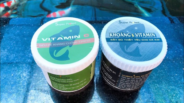 Thức ăn bổ sung vitamin và khoáng chất cho cá lóc cảnh